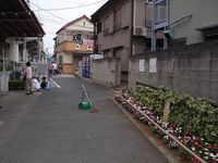 20080727_3